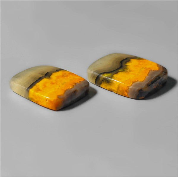 Bumble Bee Jasper