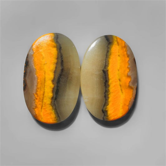 Bumble Bee Jasper