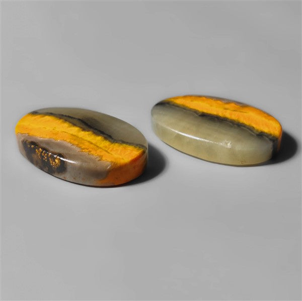 Bumble Bee Jasper