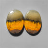 Bumble Bee Jasper