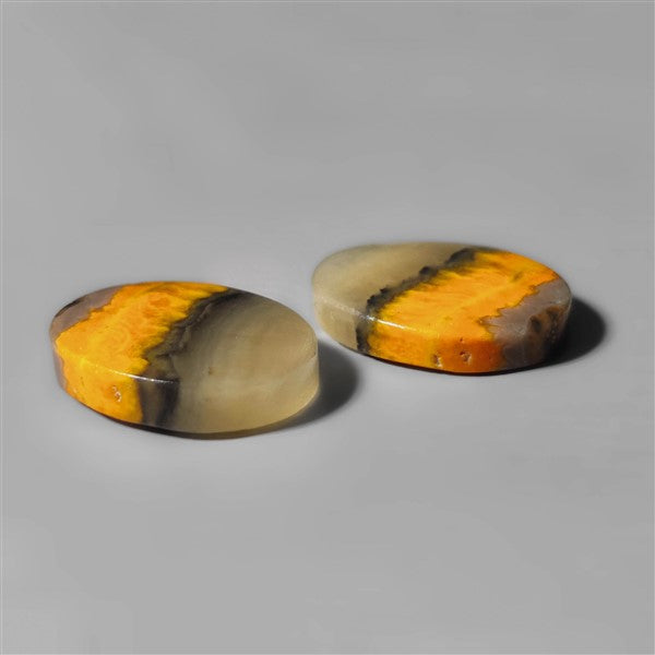 Bumble Bee Jasper