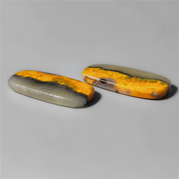 Bumble Bee Jasper