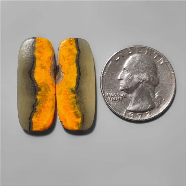 Bumble Bee Jasper