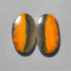 Bumble Bee Jasper