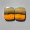 Bumble Bee Jasper