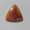 Petrified Wood|Wood