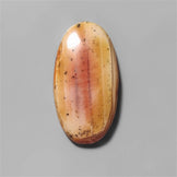 Petrified Wood|Wood
