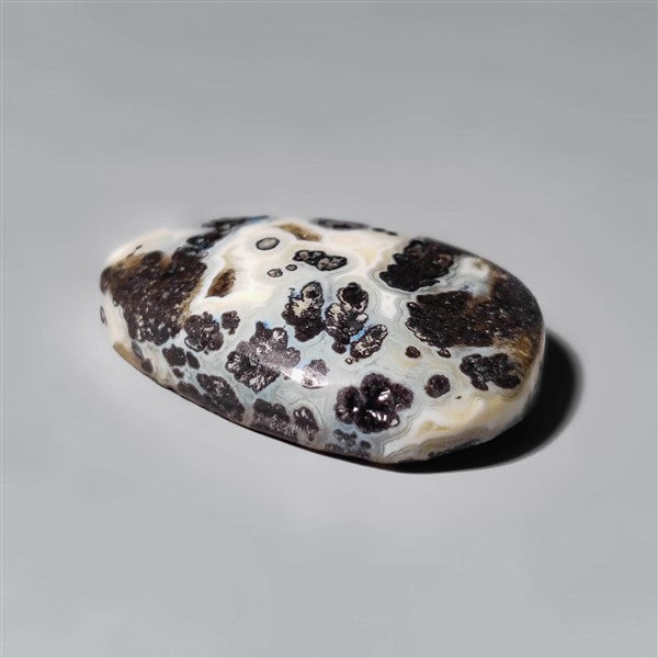 Agate|Dendritic Agate