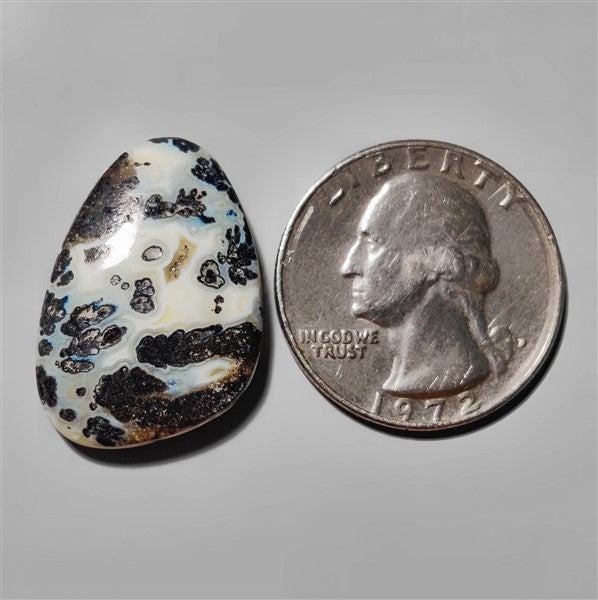 Agate|Dendritic Agate