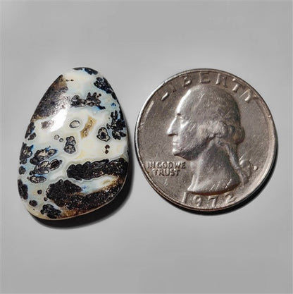 Agate|Dendritic Agate