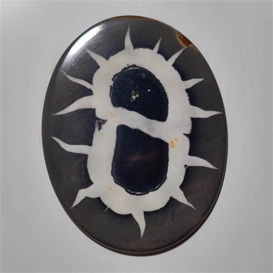 Septarian