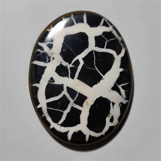 Septarian