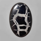 Septarian