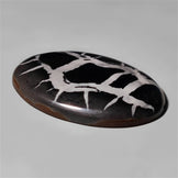 Septarian