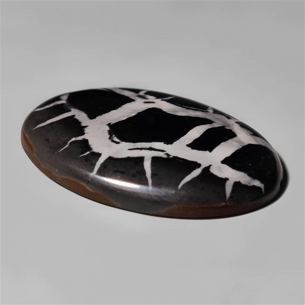 Septarian