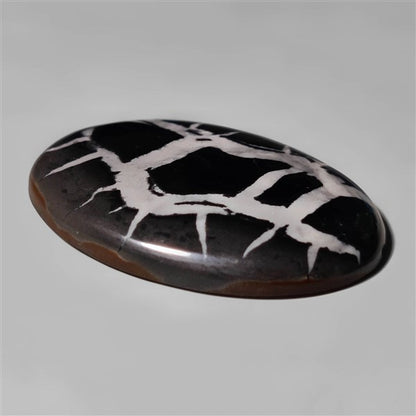Septarian