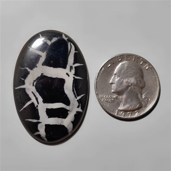 Septarian
