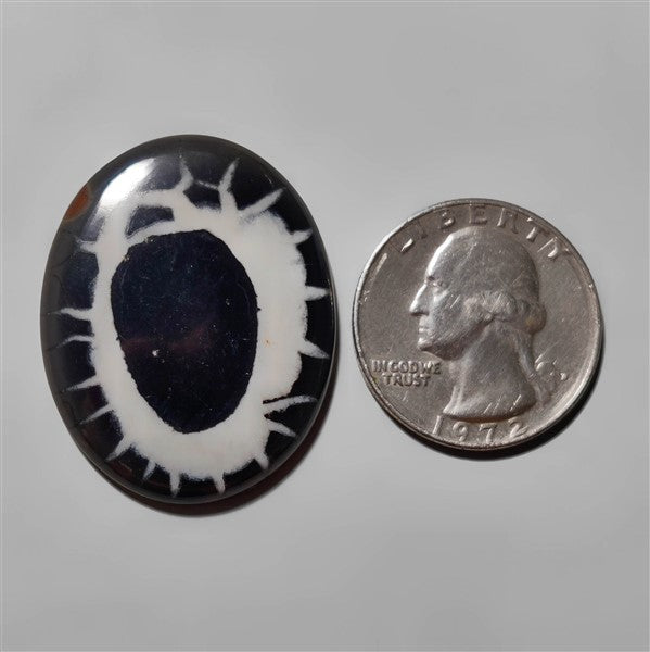 Septarian