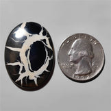 Septarian