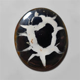 Septarian