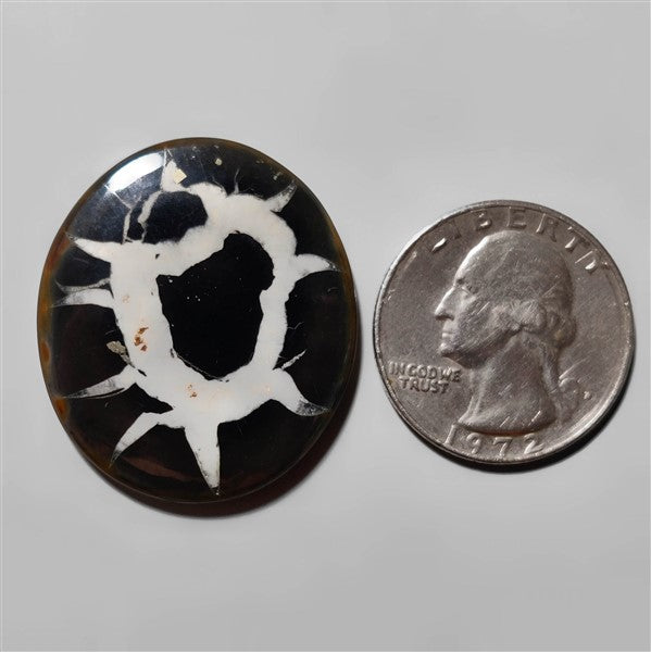 Septarian