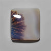 Agate|Scenic Agate