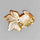 Mother Of Pearl|Pearl