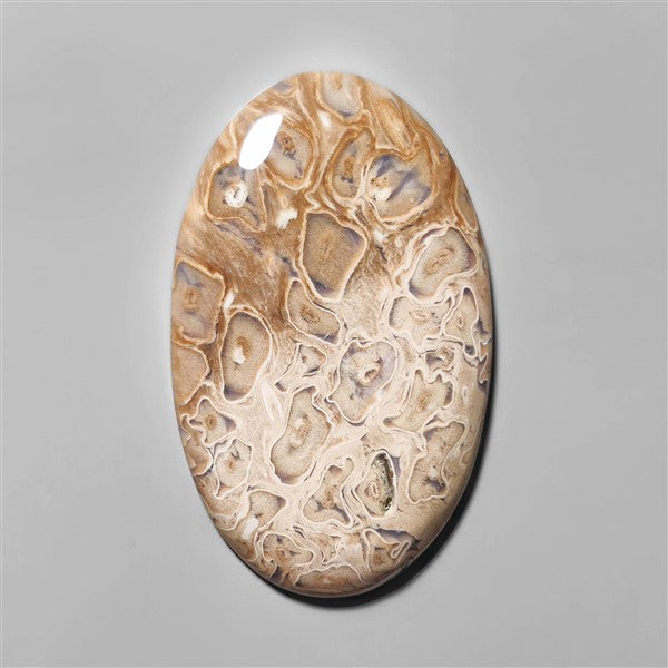 Agate|Palmroot