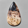 Agate|Palmroot