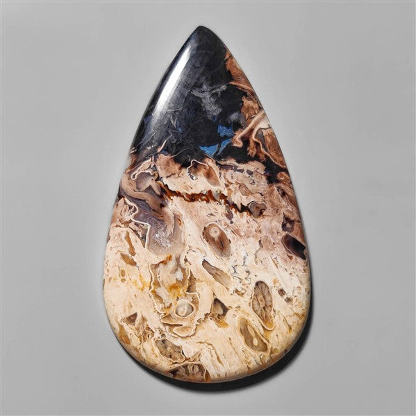 Agate|Palmroot