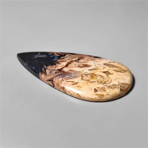 Agate|Palmroot