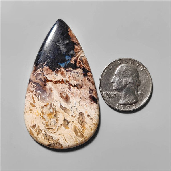 Agate|Palmroot