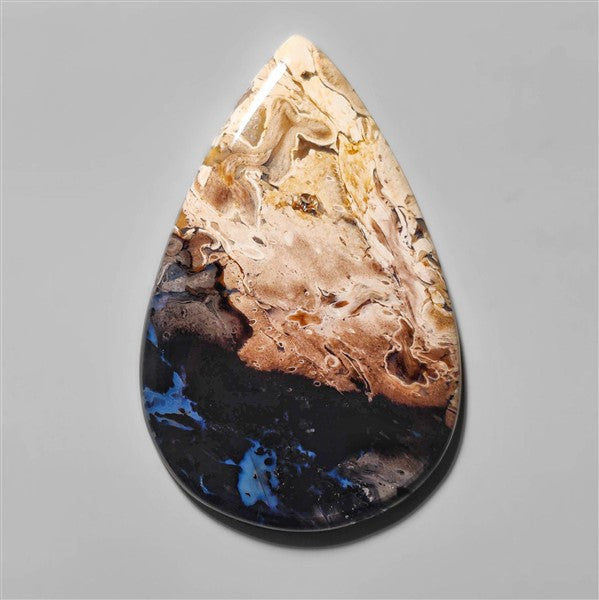 Agate|Palmroot