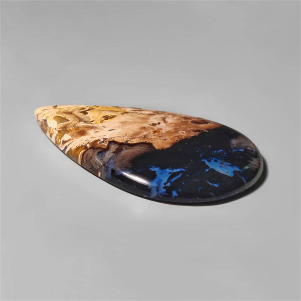Agate|Palmroot