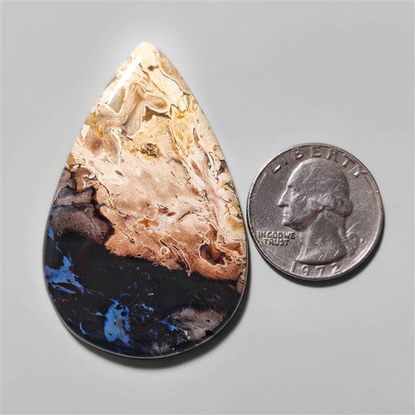 Agate|Palmroot