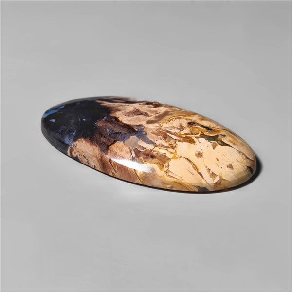 Agate|Palmroot