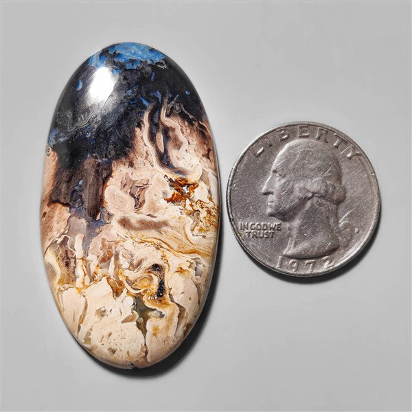 Agate|Palmroot