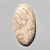 Agate|Palmroot