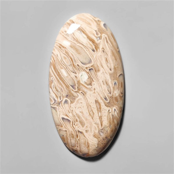 Agate|Palmroot
