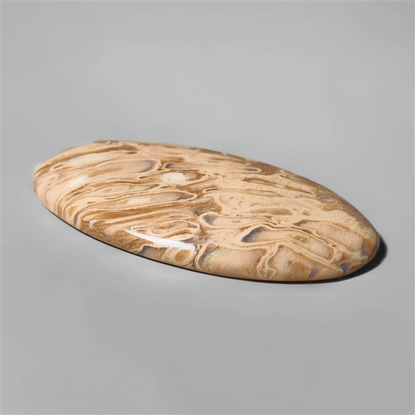 Agate|Palmroot