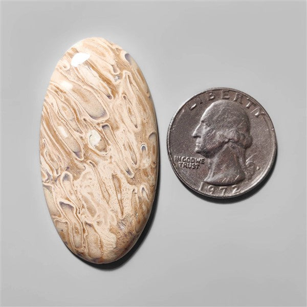 Agate|Palmroot