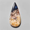 Agate|Palmroot