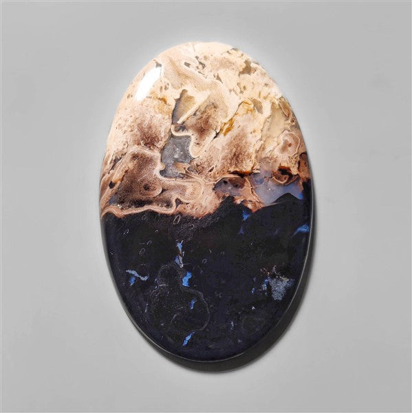 Agate|Palmroot