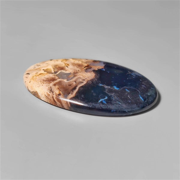 Agate|Palmroot