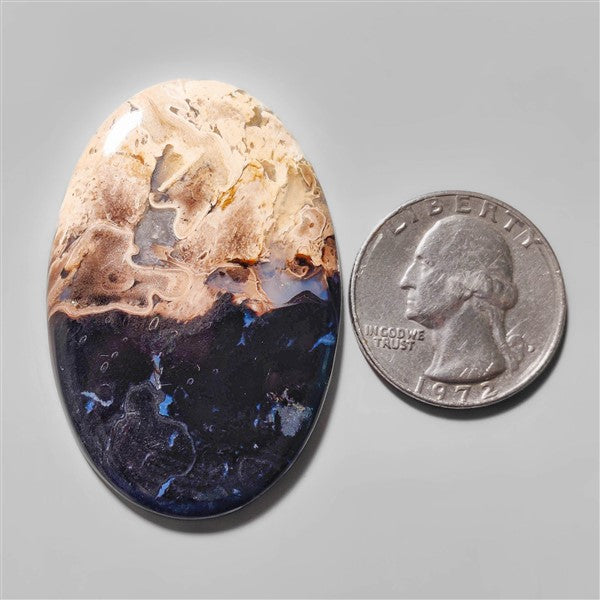Agate|Palmroot