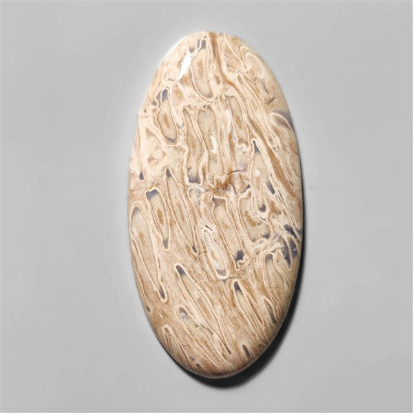 Agate|Palmroot
