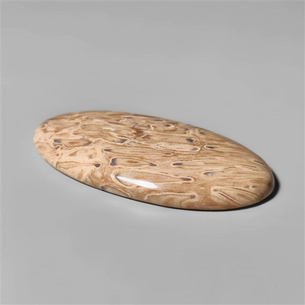 Agate|Palmroot