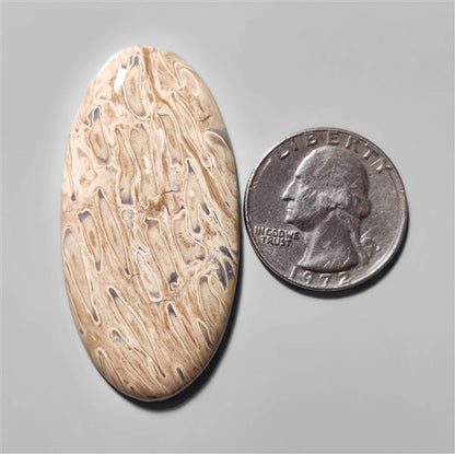 Agate|Palmroot