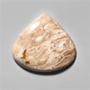 Agate|Palmroot