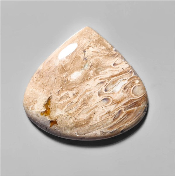 Agate|Palmroot